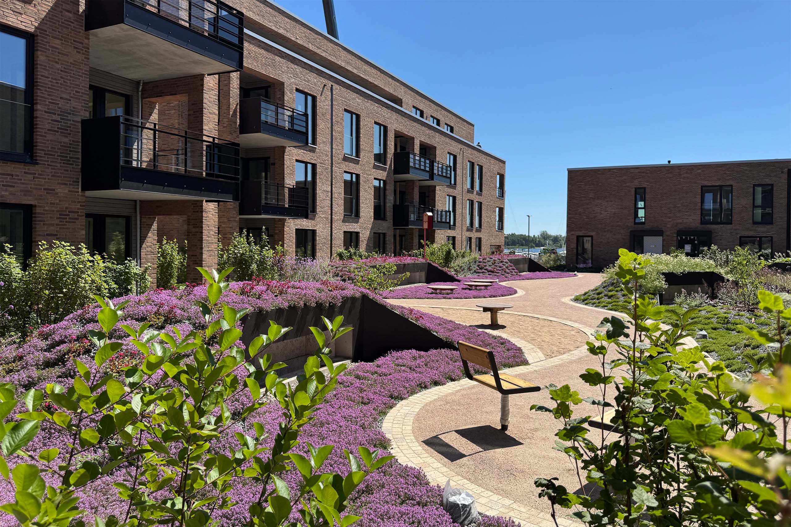 Ansicht Wohnungen mit blühender Heide